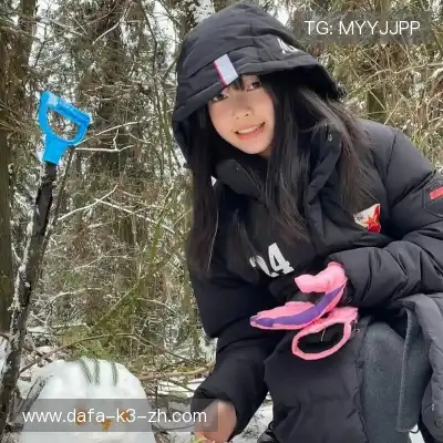 司达蕾